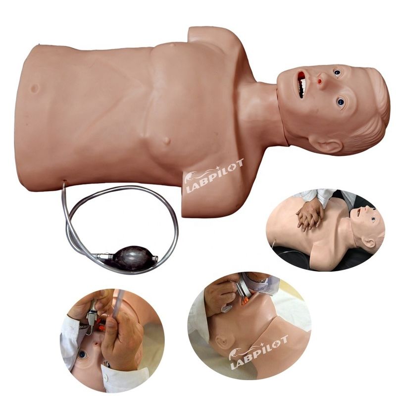 Maniquí de tamaño humano profesional para adultos RCP y entrenamiento de incubación