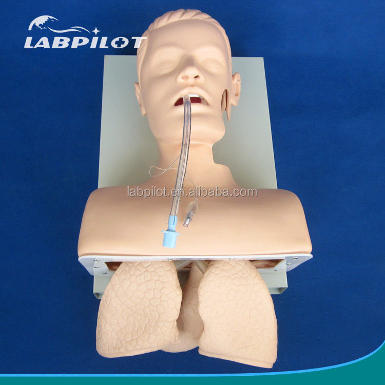 Modelo de entrenamiento de intubación traqueal electrónica con tubo NG pulmonar inflable y simulador de succión Ideal