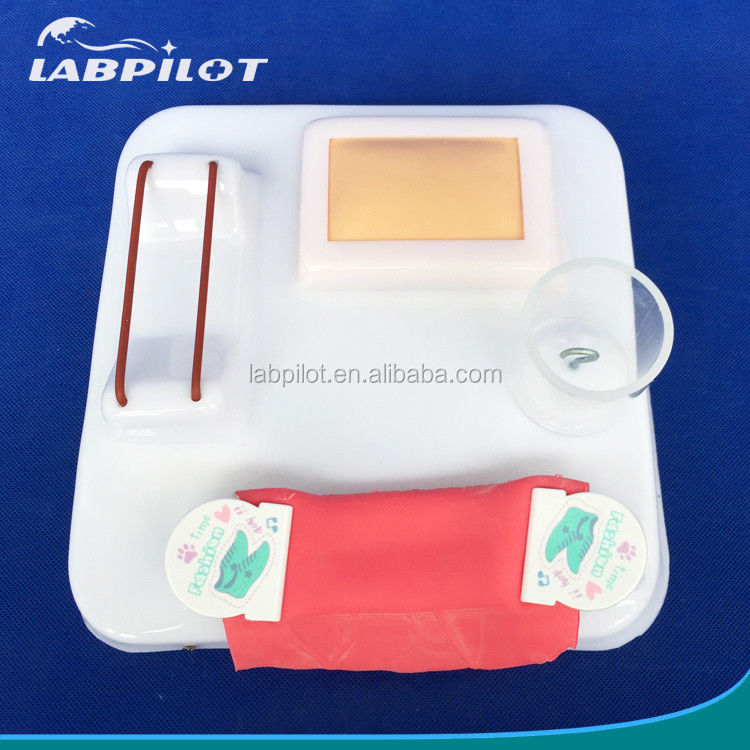Demonstración de atención al paciente Tamaño de vida humana Anastomosis intestinal y pad de práctica de sutura