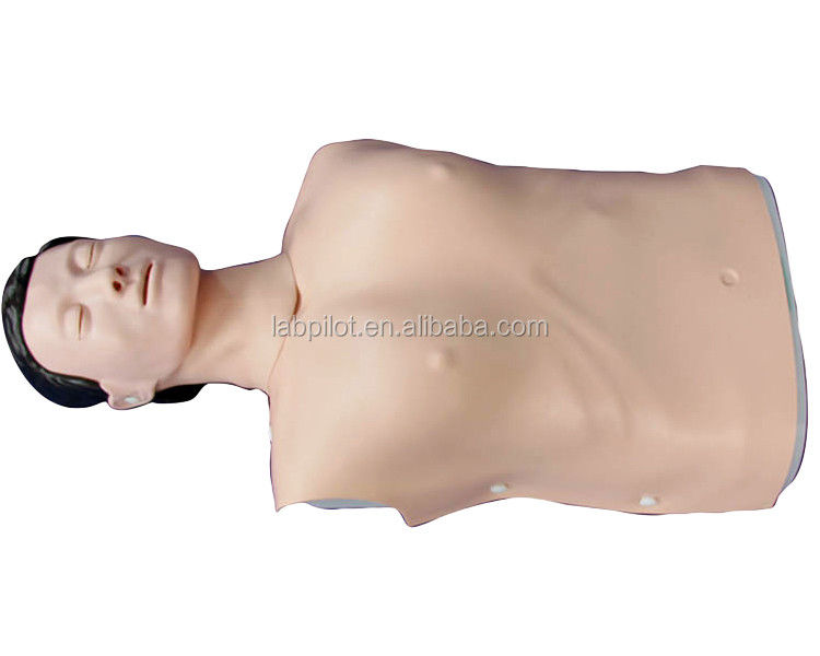 Simulación humana realista Habilidades de emergencia Entrenamiento maniquí Hombre Hemo-cuerpo maniquí de RCP