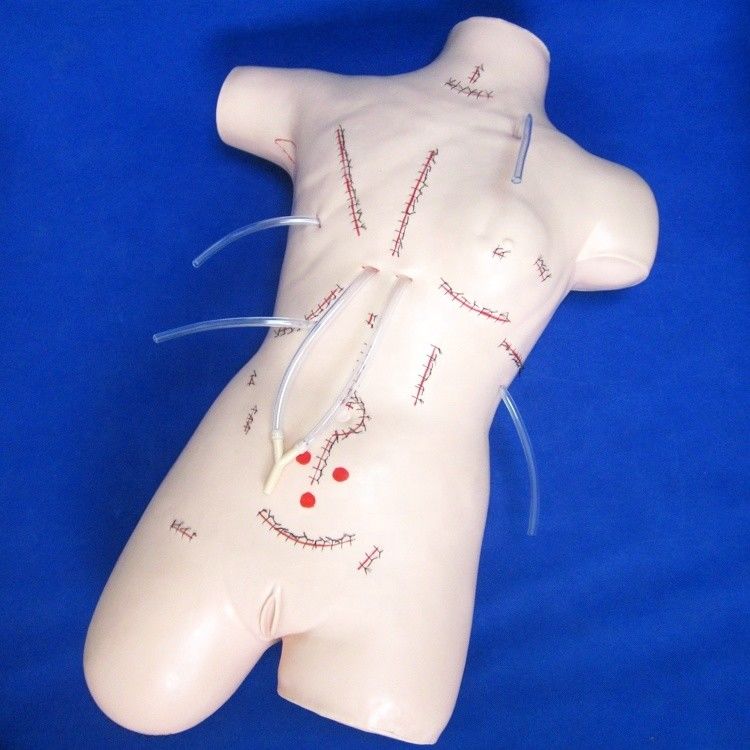 Modelo de enseñanza de apendicectomía realista para vendas y habilidades de sutura maniquí quirúrgico