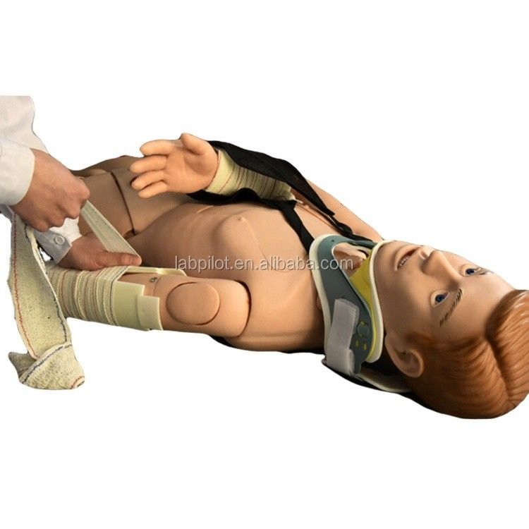 Enseñanza médica maniquí para la formación de fijación externa en primeros auxilios de fractura de extremidad