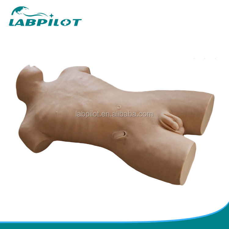 Maniquí de heridas vivas de tamaño humano para entrenamiento en venenictura central en atención médica