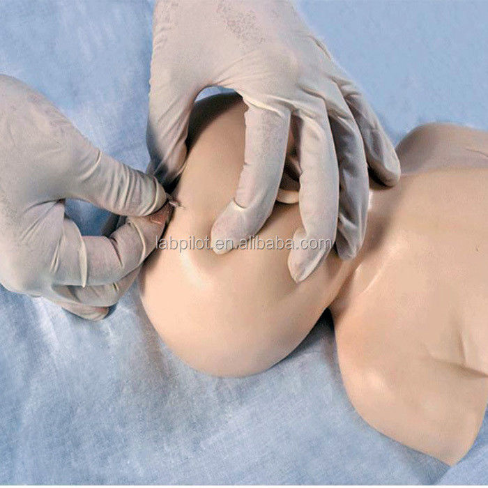 Modelo de entrenamiento de venenictura neonatal del cuero cabelludo La ventaja del diseño de tamaño humano