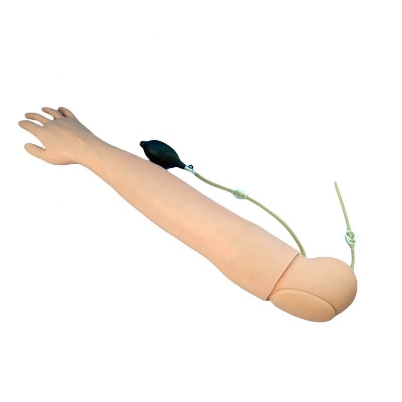 Simulador de enseñanza médica de tamaño humano brazo para extracción de sangre e infusión práctica