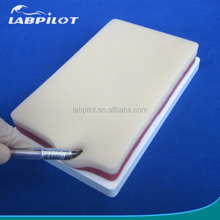 Simuladores de enseñanza médica de 3 capas elástica de cirugía para músculo y piel