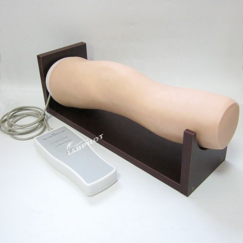 Vivid Electronic Knee Joint Injection Intraarticular Training Model para las habilidades de enfermería clínica