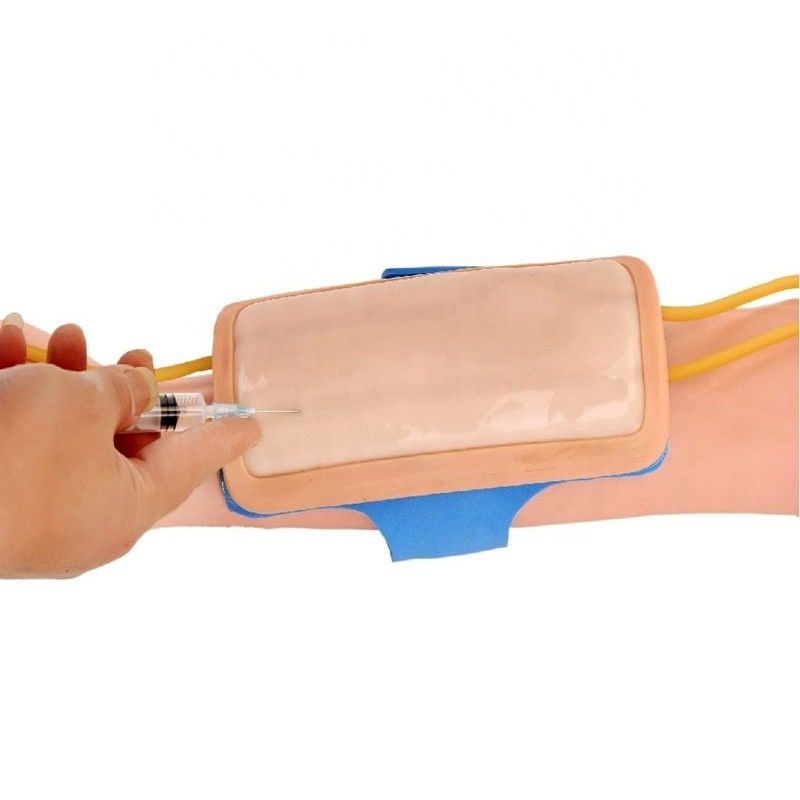 Pad de entrenamiento avanzado para la venenctura del antebrazo de PVC IV Pad de inyección para la ciencia médica