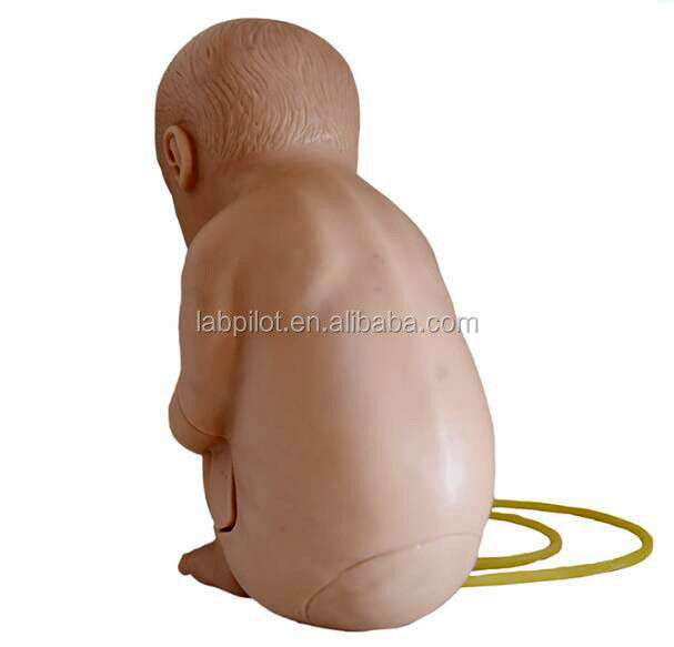 Maniquí de tamaño humano para la práctica de entrenamiento de punción vertebral espinal pediátrica