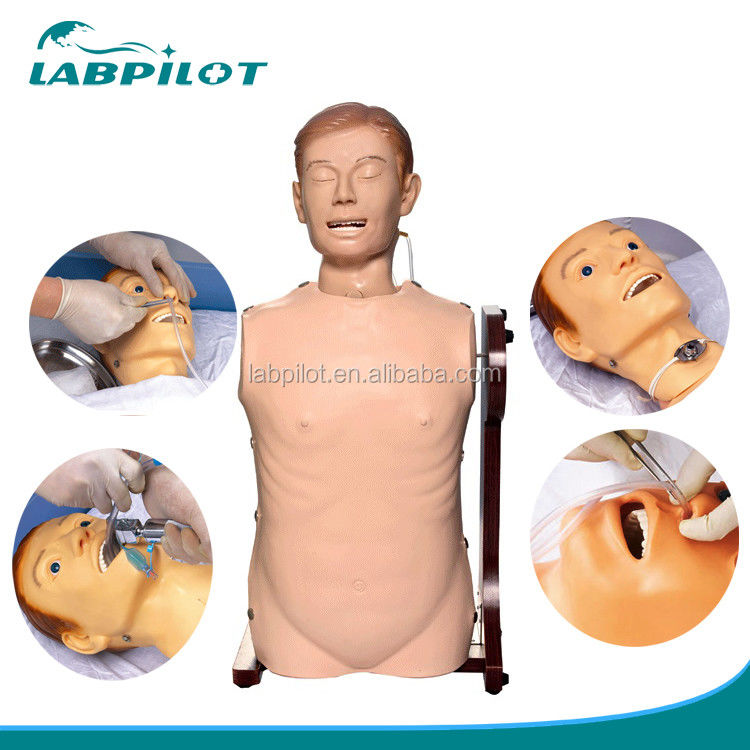 Muñeco de alimentación nasal de tamaño humano para el cuidado de las vías respiratorias y la práctica gastrointestinal