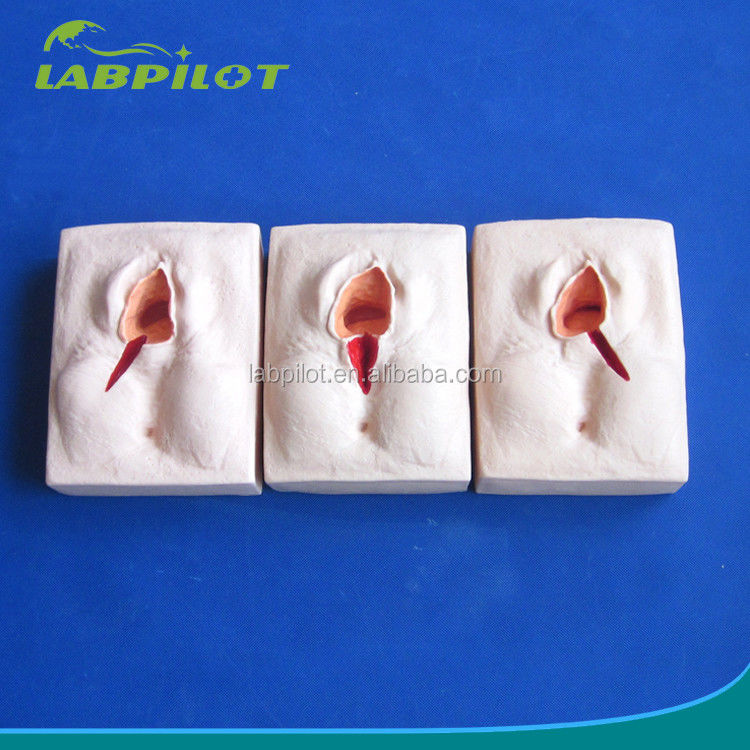 Simulador de entrenamiento avanzado de episiorrafía de PVC para técnicas realistas de corte de vulva