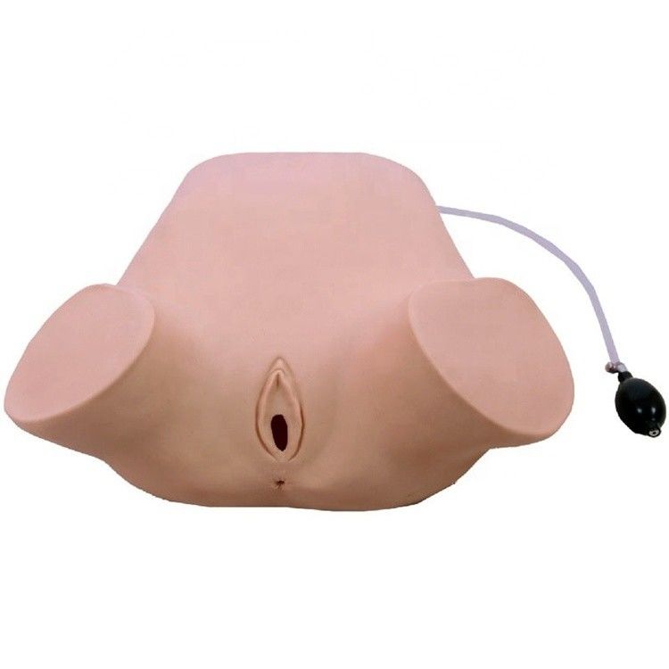 PVC avanzado Multifuncional Cuatro maniobras Leopold Modelo de Examen Rectal y Vaginal Maniquí de Entrenamiento