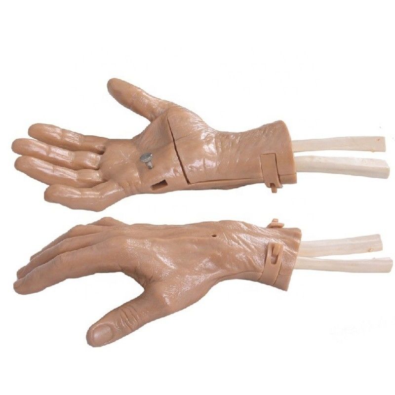 Movimiento realista de la mano Simulador de recuperación de entrenamiento de la mano con una estructura de anatomía vívida