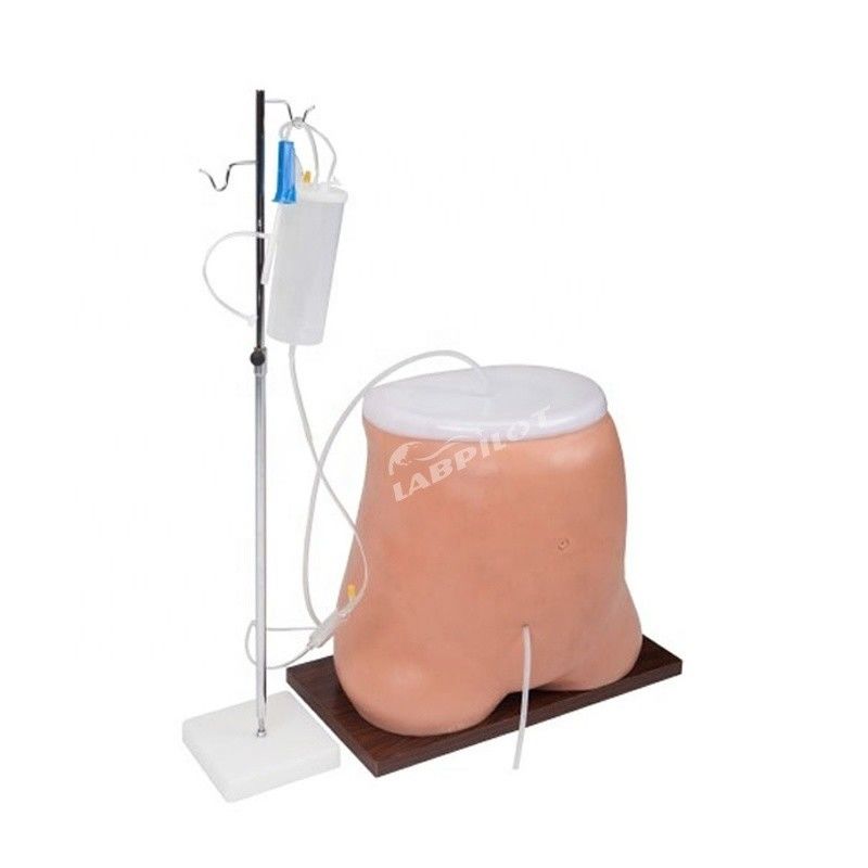 Modelo de simulador de entrenamiento de diálisis peritoneal de tamaño humano con material de PVC avanzado
