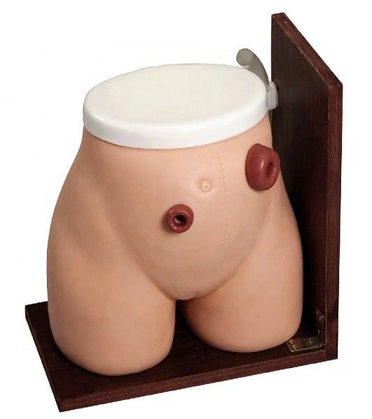 Habilidades de Enema Enseñando el maniquí La herramienta de entrenamiento perfecta para el cuidado médico de la fístula estoma