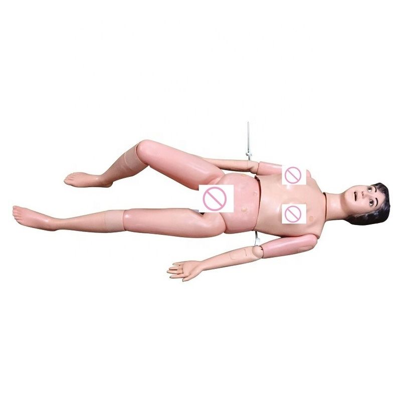 Reanimación básica y capacitación en enfermería maniquí para cuidadores de tamaño humano