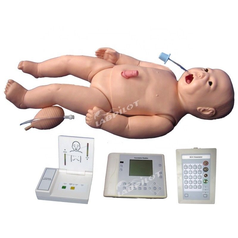 ACLS Enfermería neonatal maniquí tamaño de vida humana Asunto para la enseñanza de ciencias médicas