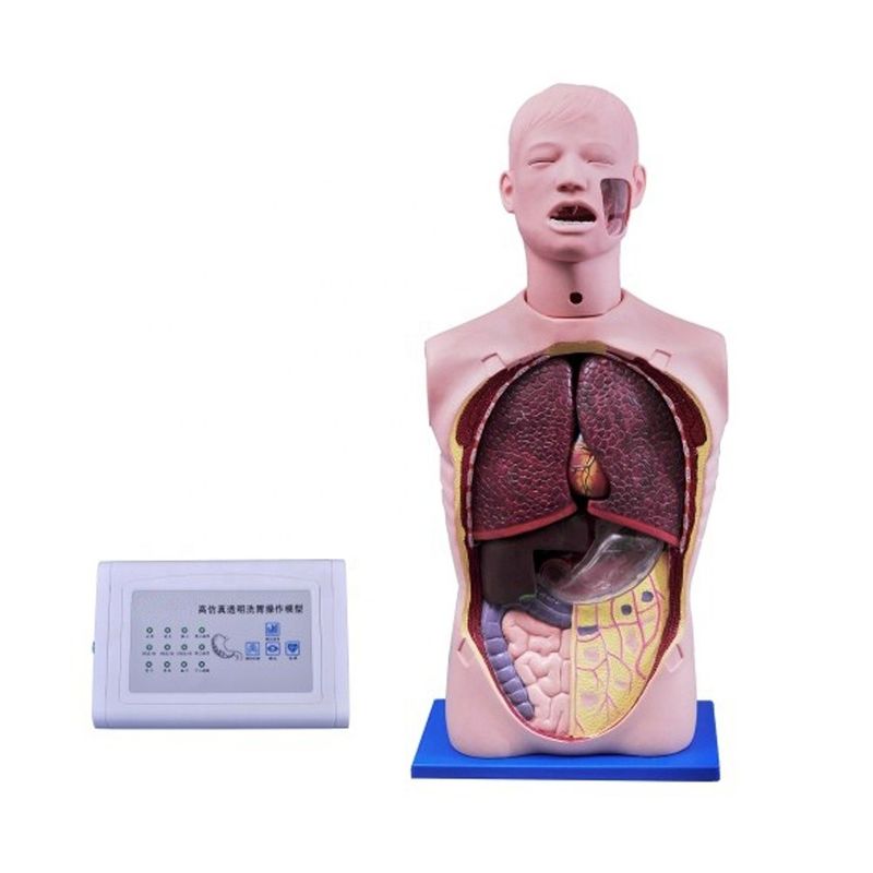 Maniquí de enfermería multifuncional de tamaño humano para succión y entrenamiento de traqueotomía