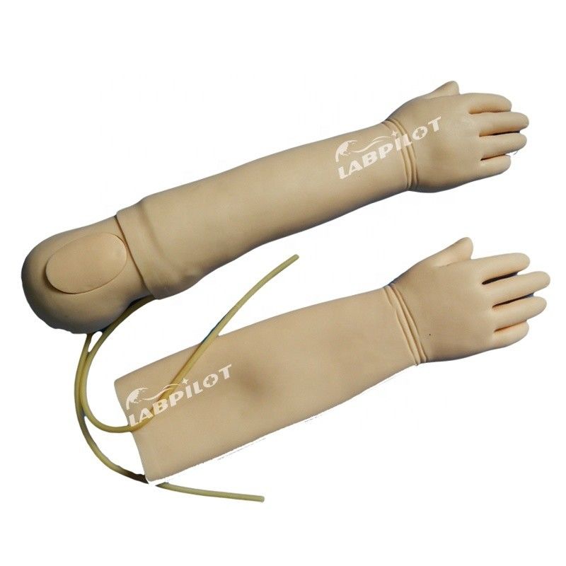 Modelo de brazo de entrenamiento para infusión intravenosa de material avanzado de PVC para niños de 4 años
