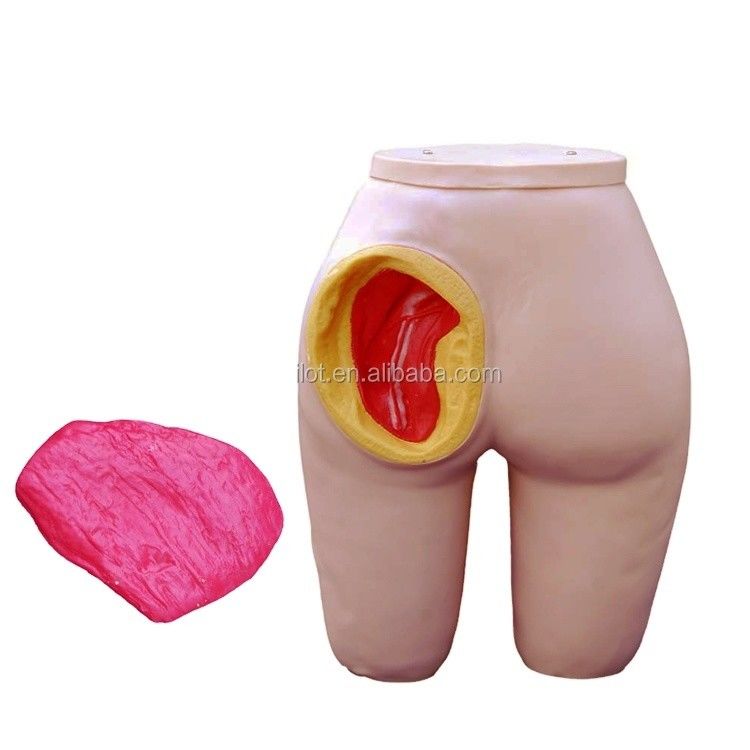 Modelo de entrenamiento para la inyección intramuscular de glúteo de tamaño de vida para el cuidado de pacientes